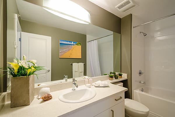 Custom Mirrors - Install or Replace Mirrors - Cut Rate Glass