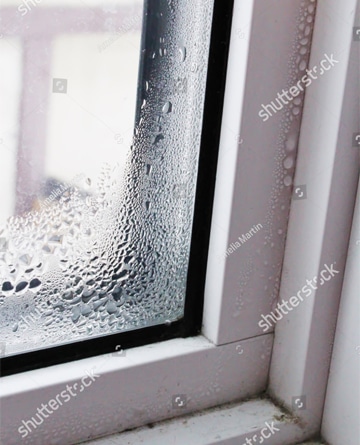 windows_21
