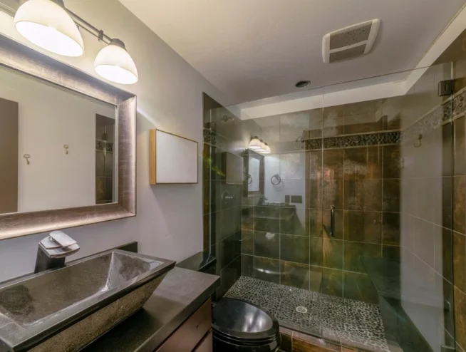 Frameless Shower Door
