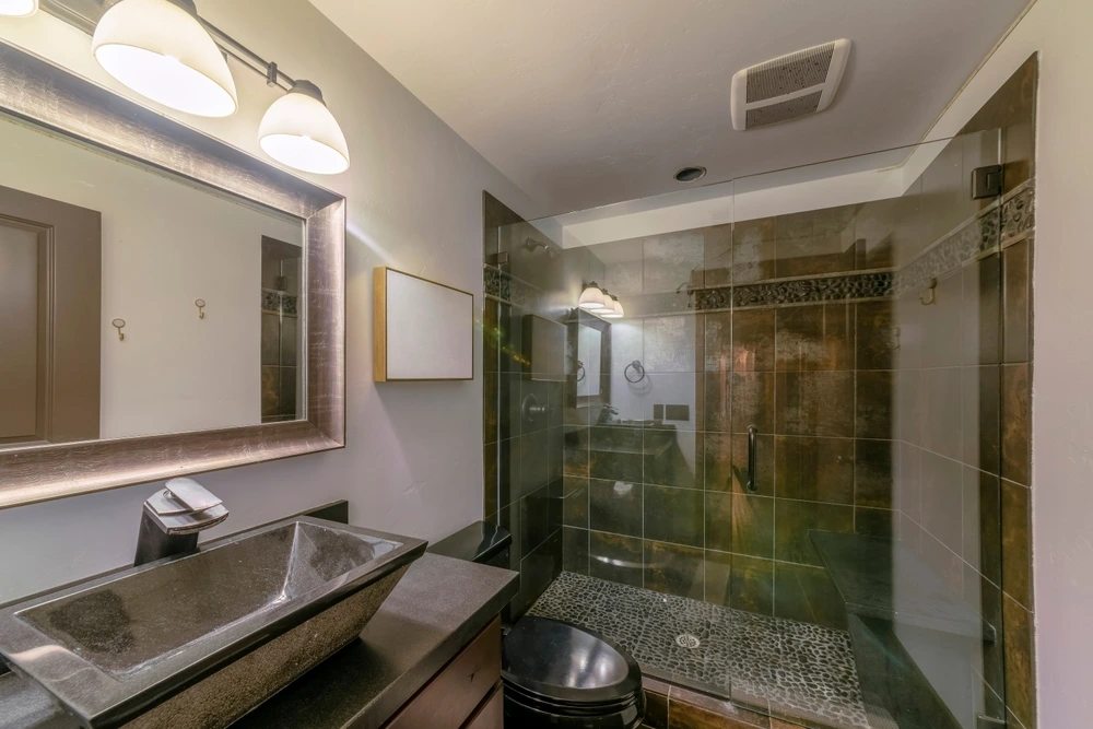 Frameless Shower Door